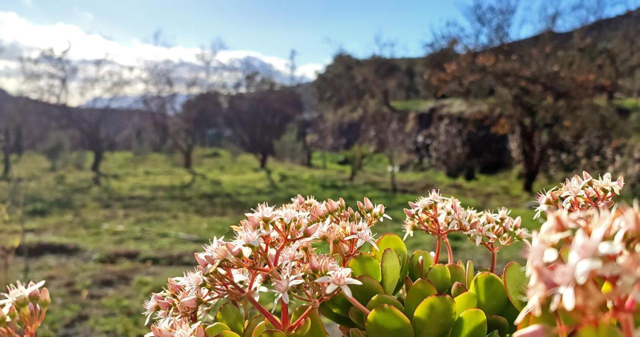 Cortijo Aguacha Villa Bayacas Eksteriør bilde