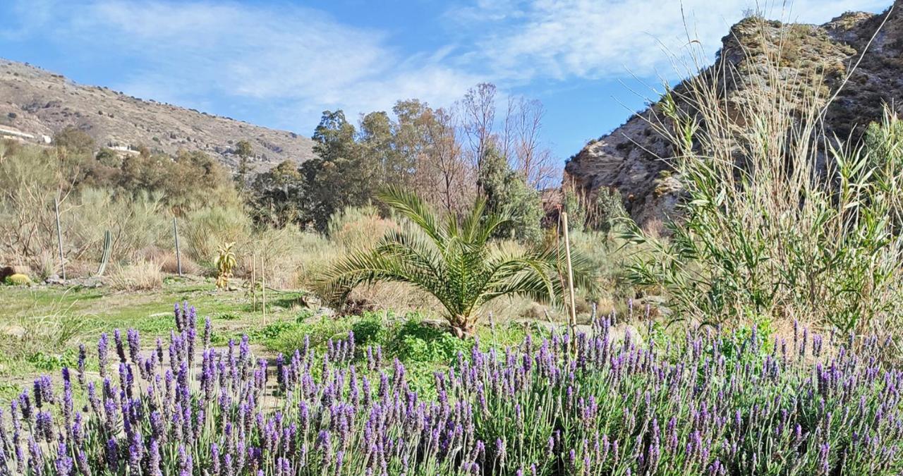 Cortijo Aguacha Villa Bayacas Eksteriør bilde