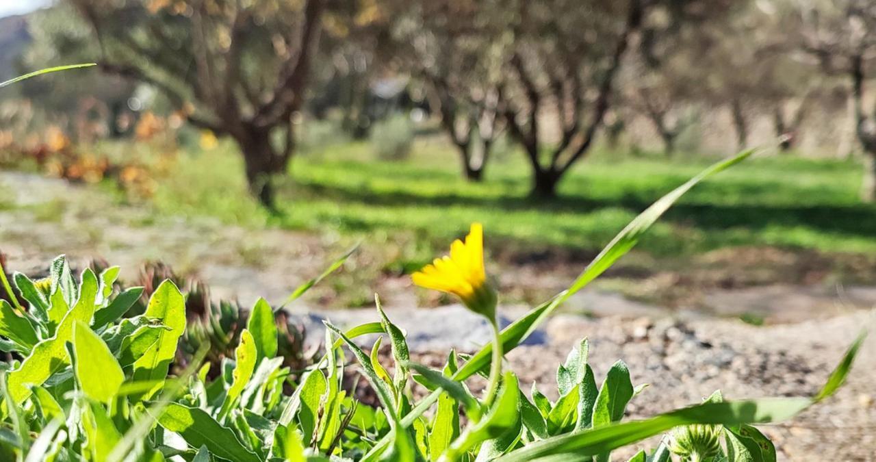 Cortijo Aguacha Villa Bayacas Eksteriør bilde