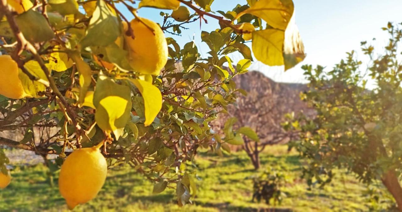 Cortijo Aguacha Villa Bayacas Eksteriør bilde