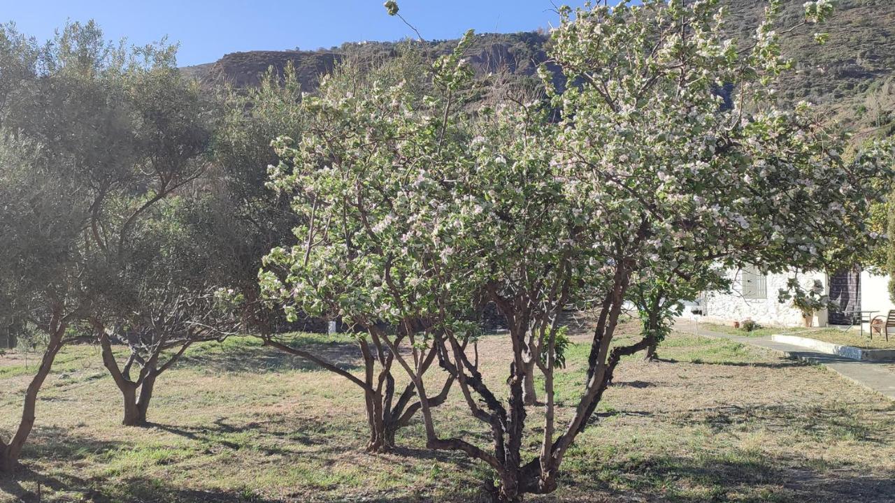 Cortijo Aguacha Villa Bayacas Eksteriør bilde