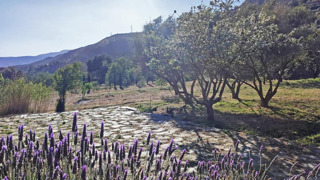 Cortijo Aguacha Villa Bayacas Eksteriør bilde