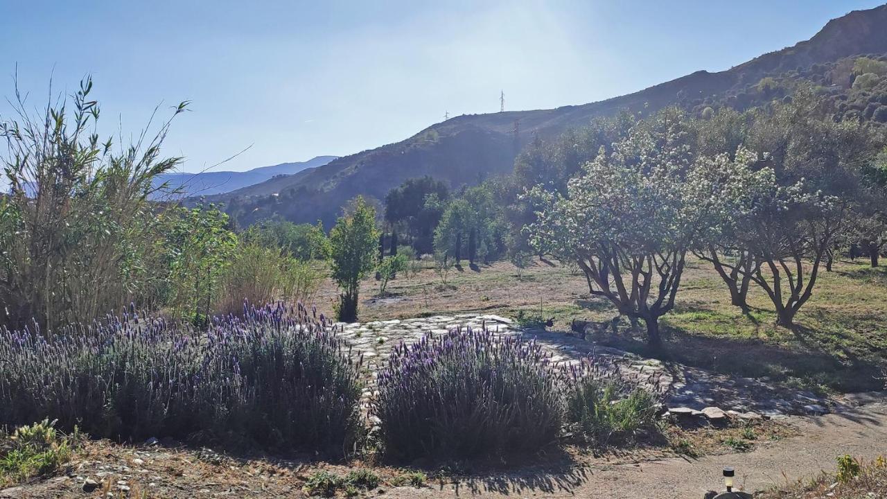 Cortijo Aguacha Villa Bayacas Eksteriør bilde